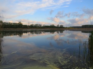 IMG_8738