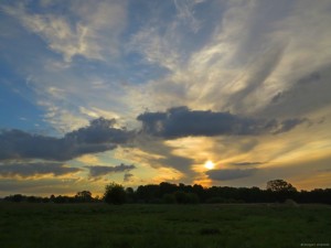 IMG_8749