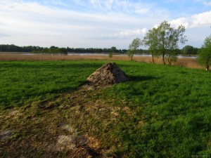 IMG_8756