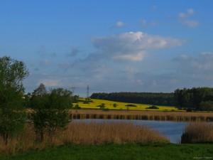 IMG_8759